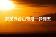 梦见五台山有鬼—梦到五台山下雪了是什么意思