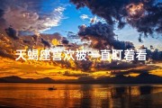 天蝎座喜欢被一直盯着看吗—天蝎座的神秘魅力：他们喜欢被一直盯着看吗？
