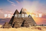 梦见一片兰瓜熟了什么意思(梦见好多大兰瓜)