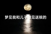 梦见我和儿子碰见送殡的,梦到和送殡的队伍碰上