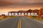 属兔和属龙是不是相克,属兔属龙是亲人吗？揭秘生肖亲情关系