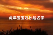 虎年宝宝姓孙起名字