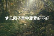 梦见园子里种菠萝好不好;梦见园子里种菠萝好不好吃