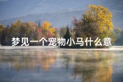 梦见一个宠物小马什么意思(梦见马是自己的宠物)