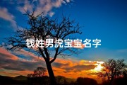 钱姓男虎宝宝名字