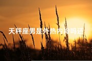 天秤座男是外热内冷吗还是内热、天秤男很热情很主动的吗？