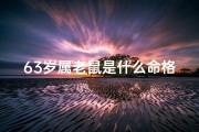 63岁属老鼠是什么命格—63岁属鼠命格揭秘：揭秘生肖鼠的神秘命运