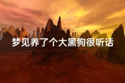 梦见养了个大黑狗很听话—梦到养了大黑狗