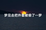 梦见去把外套被偷了—梦到自己的外套被偷了