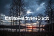 姐姐你是处女座吗英文怎么说呢