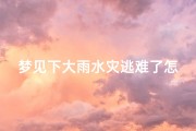 梦见下大雨水灾逃难了怎么回事,梦见下雨发大水逃难