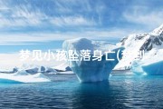 梦见小孩坠落身亡(梦到小孩子坠楼但毫发无损)
