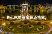 梦见家里有蜜蜂还蛰我,梦见家里面有蜜蜂