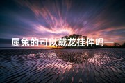 属兔的可以戴龙挂件吗—属兔的人能戴龙吊坠吗