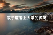 双子座考上大学的多吗