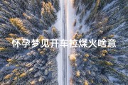 怀孕梦见开车拉煤火啥意思;孕妇梦见开车拉了一车人