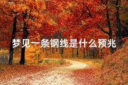 梦见一条钢线是什么预兆-梦见一条钢线是什么预兆解梦