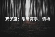 双子座：暧昧高手，情场高手？