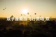 双子座能当飞行员吗_双子座能否胜任飞行员职业？