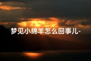 梦见小绵羊怎么回事儿-梦见小棉羊