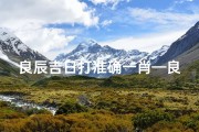 良辰吉日打准确一肖—良辰吉日解释