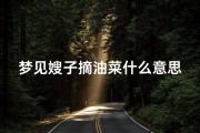 梦见嫂子摘油菜什么意思(梦见嫂子种菜)