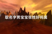 取名字男宝宝张姓好吗属虎
