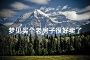 梦见买个老房子很好卖了;梦见自己买了一幢老房子