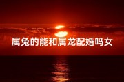 属兔的能和属龙配婚吗女;属兔与属龙能否配婚？婚配奥秘大揭秘