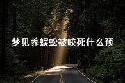 梦见养蜈蚣被咬死什么预兆(梦见蜈蚣咬住不放)