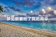 梦见前妻给了我把雨伞_梦见前妻给我衣服