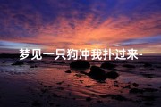 梦见一只狗冲我扑过来-梦见一只狗向我扑过来