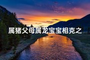 属猪父母属龙宝宝相克之谜