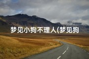 梦见小狗不理人(梦见狗不亲近我)