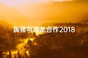 属猪与属龙合作2018-猪龙联手，共筑2018辉煌梦