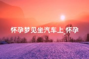 怀孕梦见坐汽车上_怀孕梦见坐汽车上车