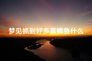 梦见抓到好多黑鳞鱼什么预兆;梦到抓到很多黑鱼是什么预兆