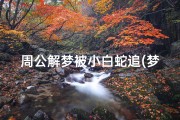 周公解梦被小白蛇追(梦见自己被白色的蛇追好不好)