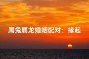 属兔属龙婚姻配对：缘起龙兔情意浓