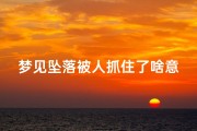 梦见坠落被人抓住了啥意思、梦到自己被落下
