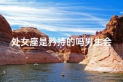 处女座是矜持的吗男生会主动吗_处女座是矜持的吗男生会主动吗知乎