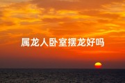 属龙人卧室摆龙好吗