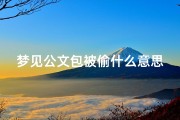 梦见公文包被偷什么意思(梦到公文包丢了)