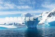 属兔男属龙婚姻：能否离婚之谜