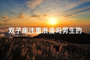双子座注重浪漫吗男生的性格_《双子座男生：浪漫情怀的浪漫主义者》