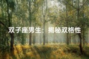 双子座男生：揭秘双格性格的秘密