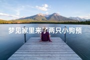 梦见家里来了两只小狗预示什么-梦见家里来了两只小狗预示什么预兆