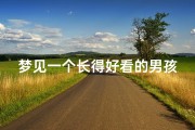 梦见一个长得好看的男孩、梦见一个长得漂亮的小男孩