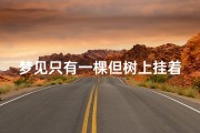 梦见只有一棵但树上挂着果子;梦见树上挂满了果子什么意思