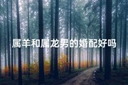 属羊和属龙男的婚配好吗;属羊女与属龙男：幸福婚配的甜蜜秘诀